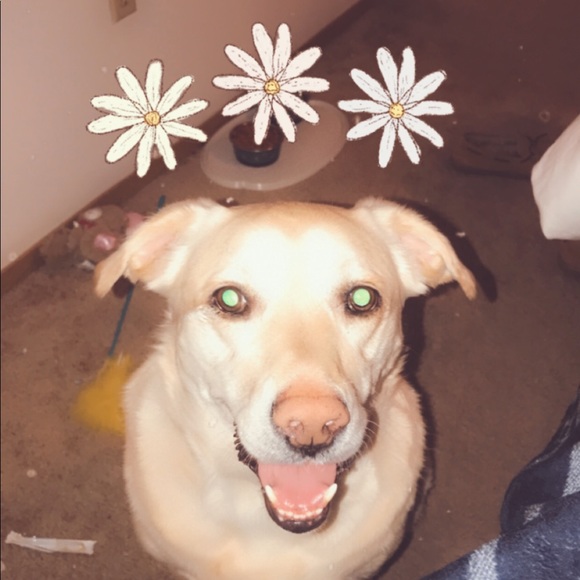 Meet your Posher, Brianna - Picture 6 of 8